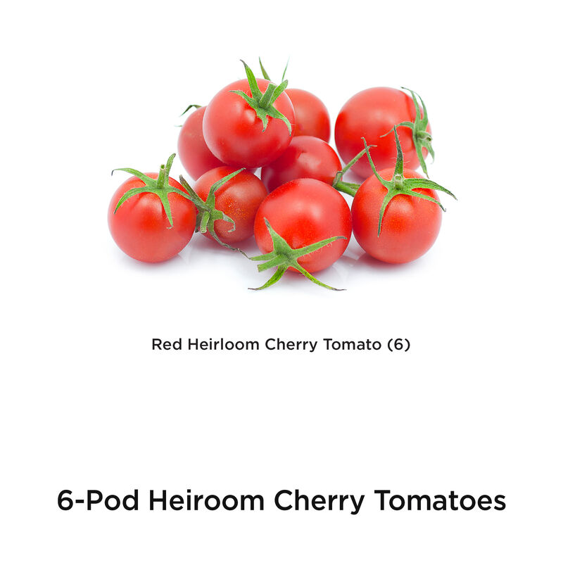 Red Heirloom Cherry Tomato Seed Pod Kit image number null